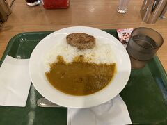 最後は永田町に戻ってカレーを食べて帰りました。

今回もご覧いただきありがとうございました。