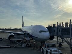 羽田行の機体は、B777-200型機。

コロナ前は、国内線の主力機でした。あと数年で、国内線のB777が退役すると聞いたので、この機体に乗るのも貴重な経験になりそうですね。