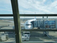 搭乗口６０番ゲートからのＡＮＡ９９５便＜Ｂ７８７-９（７８Ｇ）＞の機体です。