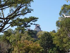 駐車場でバスを降りると高知城が見えます。ここまで来たのに高知城はスルーでした。小さな天守閣の高知城ですが、立派なハリがあり急な階段のある天守閣だったのを覚えています。また入りたかった。

歩いて、ひろめ市場に向かいます。