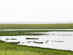 野付半島は地図で見るとエビのしっぽのような形をしていますが、この辺りはしっぽの一部。