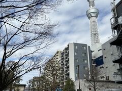 モクシーでランチ食べるため、慌ててホテルに戻りました。
帰りは大横川親水公園を通って帰りました。