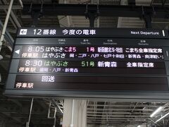最寄り駅から在来線と新幹線を乗継ぎ、仙台駅へ。
8:05発のはやぶさ１号に乗車して青森を目指します。

ちなみに仙台駅には東京駅のような大きい駅弁屋さんがありますが、８時開店なのではやぶさ１号に乗るには寄れません。（新幹線改札内の店舗は小さく品数も限られていました。）
