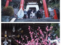 観光客で賑わう参道を抜け江島神社へ