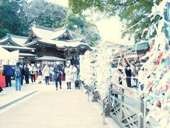 江島神社にはいくつか社殿がありますが、1つめのエスカーを降りた先にあるのが辺津宮