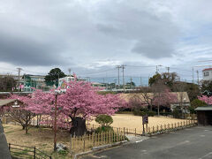 稲取文化公園