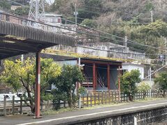 稲取の駅、ホームに柑橘類の木が植ってる。