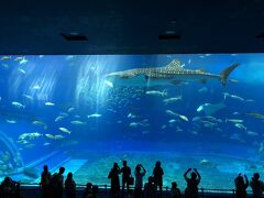 沖縄美ら海水族館