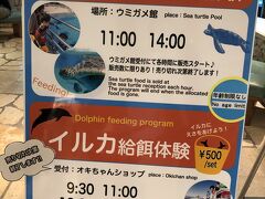 給餌体験もありました。
イルカの体験したい！と珍しく夫が言うので、行ってみることに。
外にあるオキちゃんショップへ向かいます。