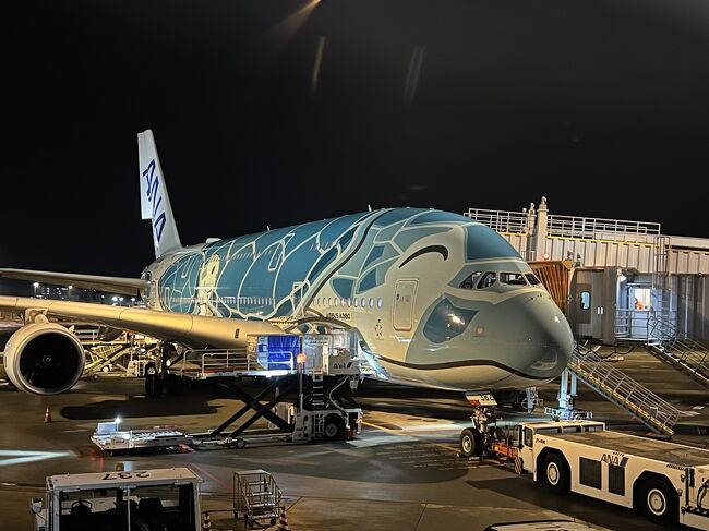 独特な 【送料無料】 全日空商事 A380 ANA全日空 FLYING HONU