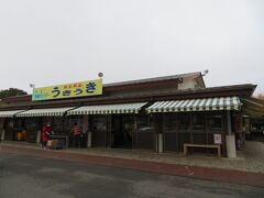 六号線を北上していた途中でトイレ休憩。
丁度お店が開く頃だったので、店内に入ると良い法蓮草を発見。お目当ての干しイモはもう売っていませんでした。