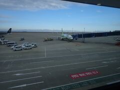 セントレア空港に到着しました～。
あ！ポケモン機があります。