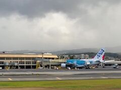 ダニエルＫイノウエ空港に着陸しました。
先にハワイに向かったラニくんが待っていてくれました。