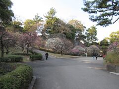 梅林のある北側に進んでいくと紅白の梅が見えてきました