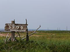 歩き始めて30分後の10:26、トドワラに到着?　いや、ここはトドワラ入り口でトドワラへはここから木道を歩きます。