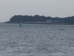 ウィンドサーフィンを楽しむ人たち