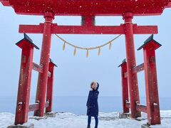 ここは去年も来ているのですが雪景色も素敵でした。