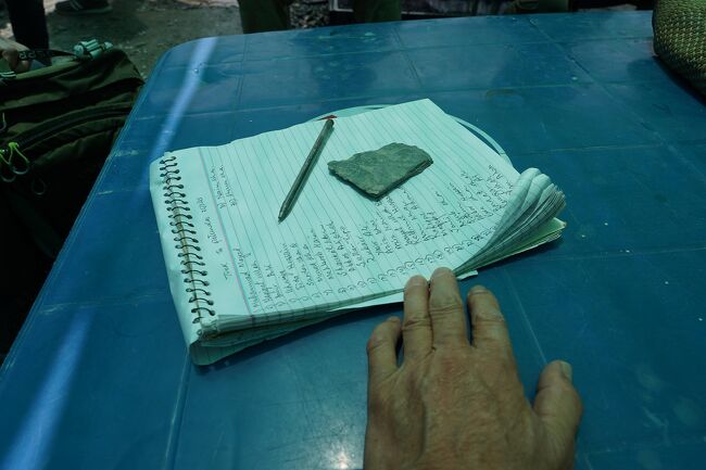 ここから先に足を踏み入れたら、最後まで歩かなくっちゃね。