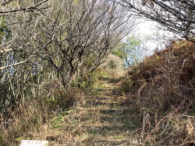 下の方に降りてみます<br /><br />全然整地されてないようです。