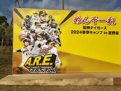 阪神タイガース宜野座キャンプ