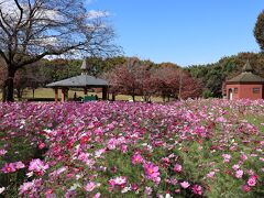 こちらは、深谷のパティオの公園
