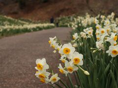 佐久間ダム湖親水公園