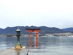 厳島神社の昇殿料として￥300を納め、
参拝順路に従って進みます。

厳島神社を撮るのを忘れてしまいましたが、
神社の撮影ポイントから撮った大鳥居。