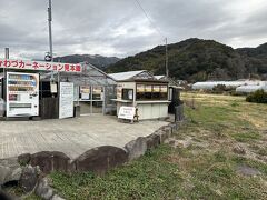 かわづカーネーション見本園