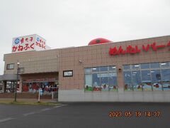 最後は、お約束の「お買い物タイム」
です。
このコースだと、ほぼ例外なくこのお店
に立ち寄ります。
「かねふく　めんたいパーク」。
明太子についてのミニ知識の展示と、ガラス越しの
製造工程見学もあり、ためになります。
さすがに品質のいい明太子は一味違うな、と
思います。
お値段も、いいですが。