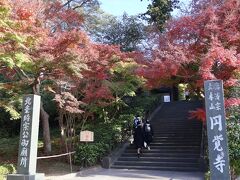 北鎌倉駅で下りて、まずはすぐ近く円覚寺へ。
入口の参道の紅葉がきれいで、多くの人がいて、人が少なくなるのを待ってパシャリ