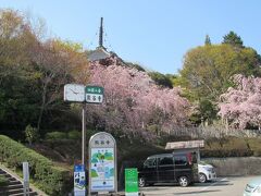 第８番札所熊谷寺
駐車場が広く桜が綺麗でした
階段からお寺の方へ行けます
