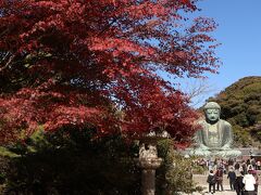 向かったのは、鎌倉大仏・高徳院。