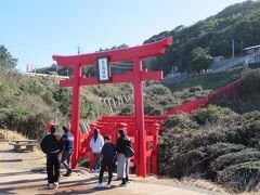 赤い鳥居が並ぶ「元乃隅神社」に到着です。海外からの観光客も多く来られていました。高台からの写真は「Top写真」をご覧くださいね。