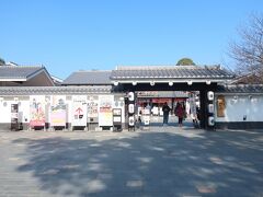 熊本城 桜の馬場 桜の小路