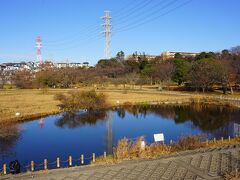 ●長津川ふれあい広場@東武/塚田駅界隈

駅の近くにある「長津川ふれあい広場」
調整池もある大きな公園です。