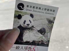 食後は上野動物園へ。
結構広いのに安いです。