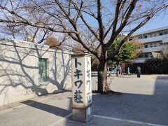 　小田原駅で朝食を頂いた後に、小田急小田原線、そして都営大江戸線に乗って、落合南長崎駅まで行きました。そして、歩いて10分程で、「トキワ荘」に着きました。