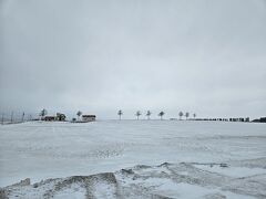 これがメルヘンの丘？！

雪積もってるせいかよく分からない…