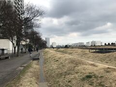 ポートサイド公園という横浜駅周辺のタマワン群が立ち並ぶ方へ進む
