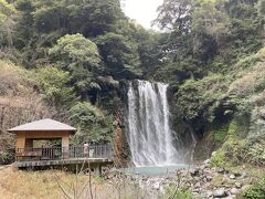 引き続き観光。丸尾滝。
霧島山が噴火して流れ出た溶岩に落ちる滝とのこと。
雨だったこともあり、水量も多めなのか力強い滝でした。