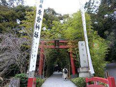 来宮神社へ寄る。平日朝10時ころなのに、もうけっこう参拝客がいる。人気スポットなんだなあ。