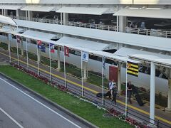 天候のせいか飛行機がガタガタ揺れて生きた心地がしないまま、20分ほど遅延しましたが、那覇にたどり着きました。
キャンプ地を沖縄に構える球団の旗がたなびく2月の光景です。