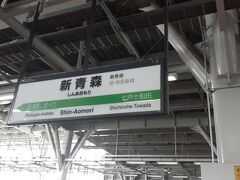 　この日は途中の古川付近で大雪となっていた為、新青森駅には所定到着予定時刻である11時51分より２分程度遅れとなる11時53分頃に到着しました。