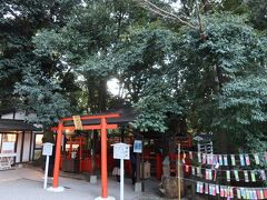 京都観光初日最初は下鴨神社の境内にある相生社へ。連理の賢木と呼ばれる御神木は2本の木が途中で1本に繋がっています。縁結びのスポットとして人気があり、媛守と言う沢山の柄のお守りが人気です