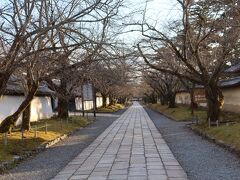 醍醐寺へ移動。太閤秀吉の花見で知られる醍醐寺はとても広い境内で、参道は桜並木になっています。春はきっと綺麗でしょう