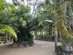 到着した由布島。島全体が亜熱帯植物楽園になっています。