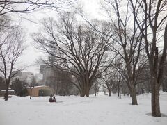 　ホテルから大通公園を通って出張先に行きます。小雪が舞う朝でした。