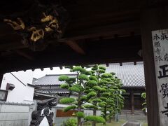 左には、古刹の正覚寺
