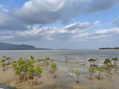 石長田海岸は十分堪能したので、小浜島最西端の細崎半島へ移動します。