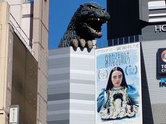 奥に進み新宿東宝ビルのゴジラを見に行きます。
ゴジラが出現したような光景
以前は新宿コマ劇場の跡地の様です。
昼食のため錦糸町へ向かいます。